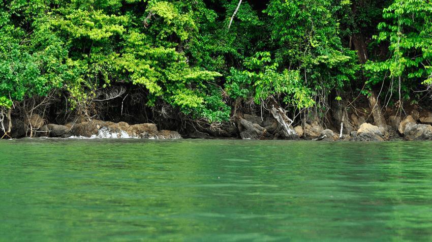 Hotel Sierpe River Exterior photo