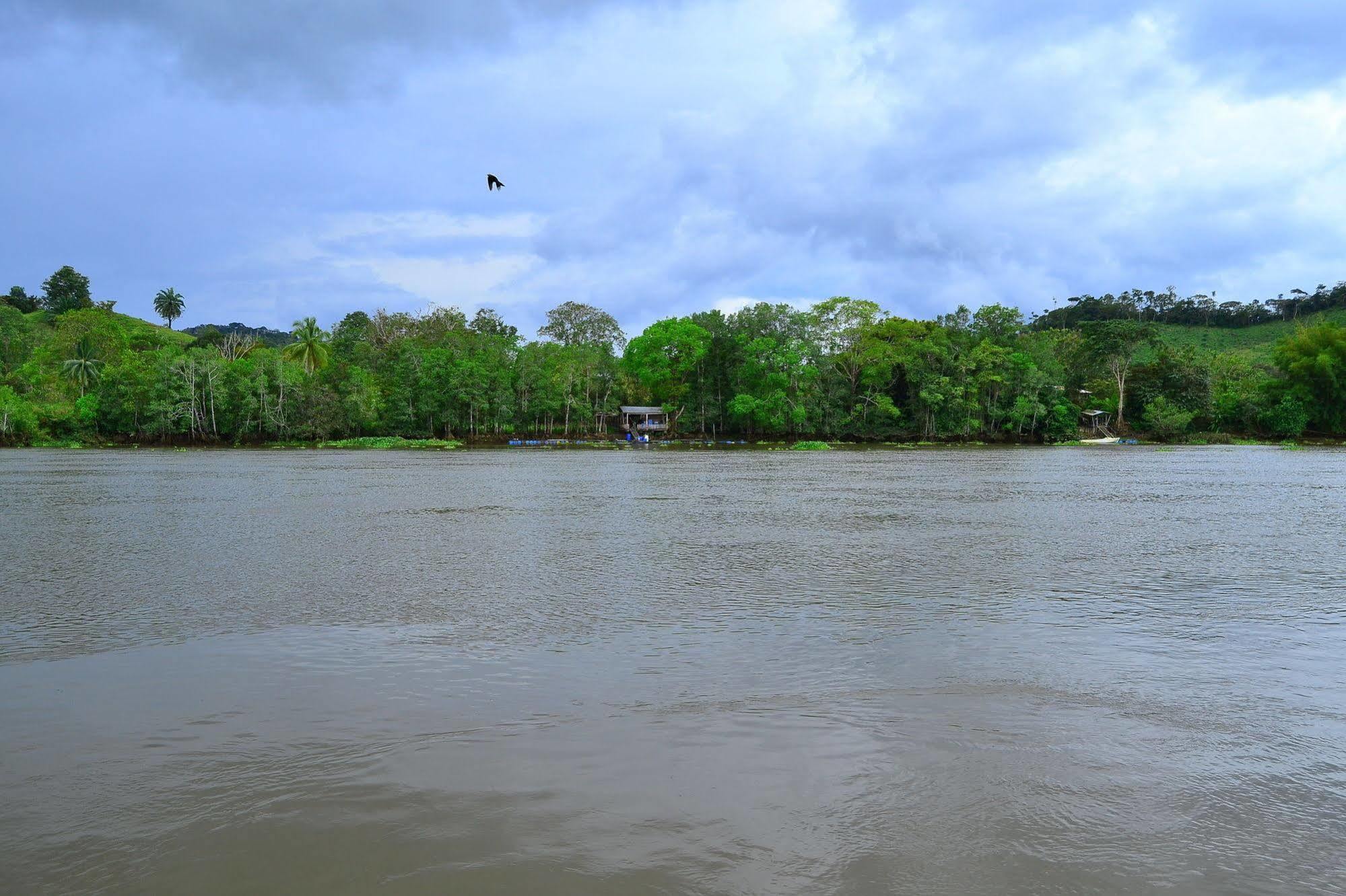 Hotel Sierpe River Exterior photo